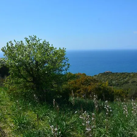 Casale Dionisia, Santa Maria Di Διαμέρισμα