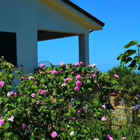Casale Dionisia In Cilento